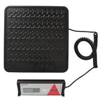 Taylor TE400 400 lb. Digital Receiving Scale with Remote Display