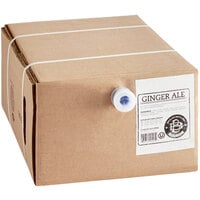 Boylan Bottling Co. Ginger Ale Beverage / Soda Syrup 5 Gallon Bag in Box