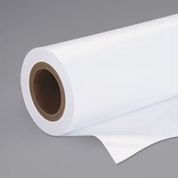 Epson S042077 100' x 10 inch Luster White 10 Mil Premium Photo Paper Roll