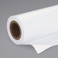 Epson S042081 100' x 24 inch Luster White 10 Mil Premium Photo Paper Roll