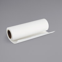 Epson S042303 Cold Press Natural 50' x 17 inch White 19 Mil Fine Art Matte Paper Roll
