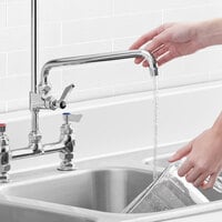 Waterloo 12 inch Pre-Rinse Add-On Faucet