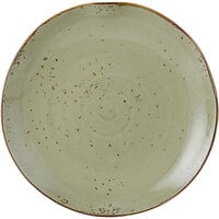 Tuxton GGO-006 TuxTrendz Artisan Geode Olive 10 1/4" China Plate - 12/Case