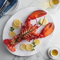 Boston Lobster Company 25 lb. Case of 3-4 lb. Live Hard Shell Lobsters