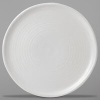 Dudson EP254 Evo 10" Matte Pearl Flat Round Stoneware Plate by Arc Cardinal - 12/Case