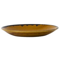 Dudson HB255 Harvest 10 inch Brown Deep Coupe Round China Plate by Arc Cardinal - 12/Case