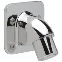 Zurn Z7000-I2-AP Temp-Gard Chrome Plated Vandal Resistant Institutional Shower Head with Anchor Plate - 2.5 GPM