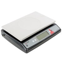 Taylor TE22OS 22 lb. Digital Portion Control Scale with an Oversized Platform