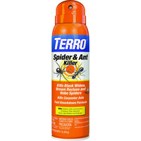 Terro T2303 16 oz. Spider and Ant Killer Spray