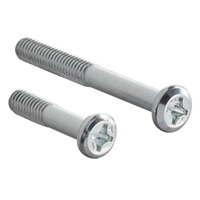 Galaxy 554GALSCRL Replacement Screw for Canopies