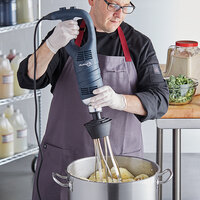 AvaMix IBW10 Heavy-Duty Variable Speed Immersion Blender with 10 inch Whisk - 1 1/4 HP