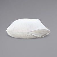 Protect-A-Bed Basic Waterproof Zippered Pillow Protector
