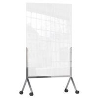 Rosseto RD001 Avant Guarde 48 inch x 72 inch Clear Room Divider