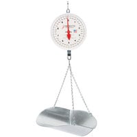 Cardinal Detecto MCS-20DP 20 lb. Hanging Scoop Scale with Double Dial