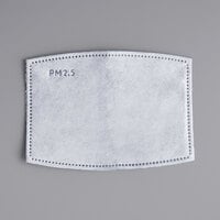 PM2.5 Carbon Filter Replacement for Reusable Face Masks - 10/Pack