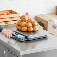 AvaWeigh RSB250SS 250 lb. Digital Receiving / Portion Scale with Built-In Handle