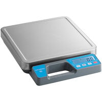 AvaWeigh RSB250SS 250 lb. Digital Receiving / Portion Scale with Built-In Handle