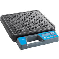 AvaWeigh RSB250T 250 lb. Digital Receiving Scale with Built-In Handle and Treaded Platter