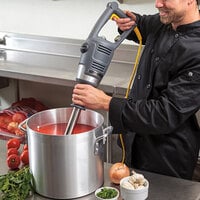 Hamilton Beach HMI016 BigRig 16 inch Variable Speed Immersion Blender - 1 HP