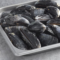 Wulf's Fish 10 lb. Live Hollander & de Koning Maine Mussels