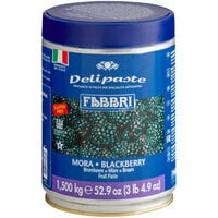 Fabbri Delipaste 1.5 kg Blackberry Flavoring Paste