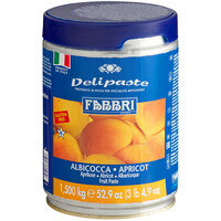 Fabbri Delipaste 1.5 kg Apricot Flavoring Paste