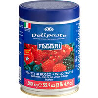Fabbri Delipaste 1.5 kg Wild Fruits Flavoring Paste