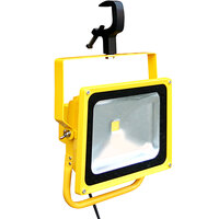 Lind Equipment LE970LED-CLAMP LED Floodlight with Clamp Mount and 360 Yoke - 40W, 6,000 Lumens