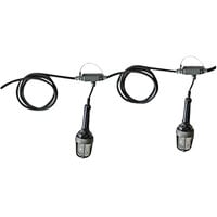Lind Equipment TLS-50XPLEDRE LED Hazardous Location String Lights with Plug - 65', 12/3 SOOW Cable