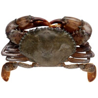 Handy Prime Soft Shell Domestic Crabs 4 3/4 inch - 36/Case