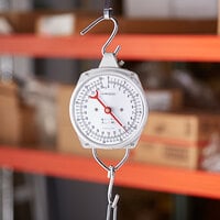 AvaWeigh 55 lb. Industrial Hanging Scale