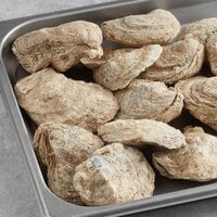 Handy 100 Count Whole East Coast Oysters
