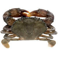 Handy Hotel Soft Shell Domestic Crabs 4 1/4 inch - 48/Case