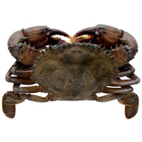 Handy Jumbo Soft Shell Domestic Crabs 5 1/4 inch - 24/Case