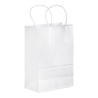 Bulk Paper Shopping Bags: Shop WebstaurantStore