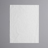 Lavex Packaging 15 inch x 20 inch 10# White Packing Tissue Sheets - 480/Pack