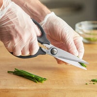 OXO 1072121 Good Grips 3 inch All-Purpose Kitchen & Herb Shears