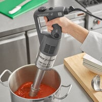 Robot Coupe CMP250VV Compact 10 inch Variable Speed Immersion Blender - 1/2 HP