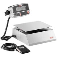 Torrey Lpc40l Computing Deli Meat Scale W/ GODEX Dt2 Label Printer Tor Rey  for sale online