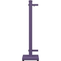 SelectSpace 10 inch x 10 inch x 36 inch Purple Standard End Stand
