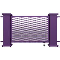 SelectSpace 62" x 10" x 34" Purple Circle Pattern Gate with Straight Planter Stands