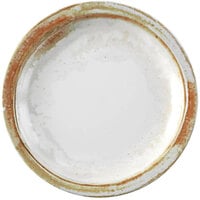 Dudson Maker's Finica 9 inch Sandstone Narrow Rim China Plate by Arc Cardinal - 12/Case