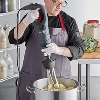 AvaMix IBHDW10 Heavy-Duty Variable Speed Immersion Blender with 10 inch Whisk - 1 1/4 hp