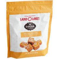 Land O Lakes Cocoa Classics Salted Caramel and Chocolate Cocoa Mix 14.8 oz.