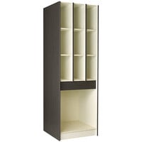 I.D. Systems 29 inch Deep Dark Elm Instrument Storage Cabinet with (9) 8 inch Compartments and (1) 25 1/2 inch Compartment 89426 278429 Z020