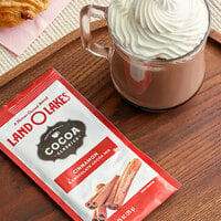 Land O Lakes Cocoa Classics Cinnamon and Chocolate Cocoa Mix Packet - 72/Case