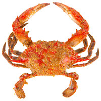 Chesapeake Crab Connection Medium 5 1/2 inch - 6 inch Extra Seasoned Steamed Blue Crab - 12/Case
