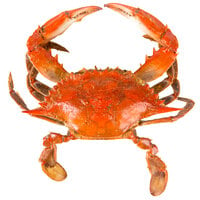 Chesapeake Crab Connection Small/Medium 5 inch - 6 inch Lightly Seasoned Steamed Blue Crab - 1/2 Bushel