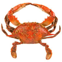 Chesapeake Crab Connection Small 5 inch - 5 1/2 inch Seasoned Steamed Blue Crab - 12/Case