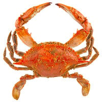 Chesapeake Crab Connection Extra Large 6 1/2 inch - 7 inch Seasoned Steamed Blue Crab - 12/Case